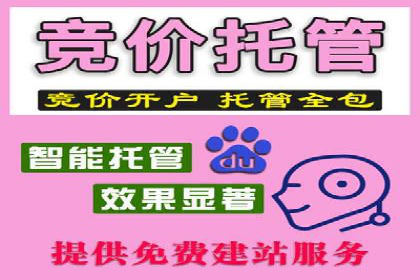 深入了解SEM竞价代运营公司：成功背后的故事